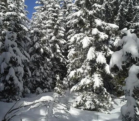 Pepis Inklusive Sommercard Daire *