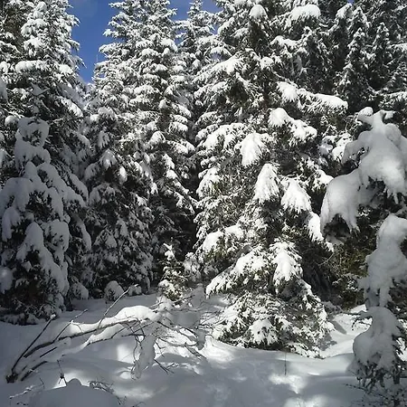 Pepis Inklusive Sommercard Apartmán *